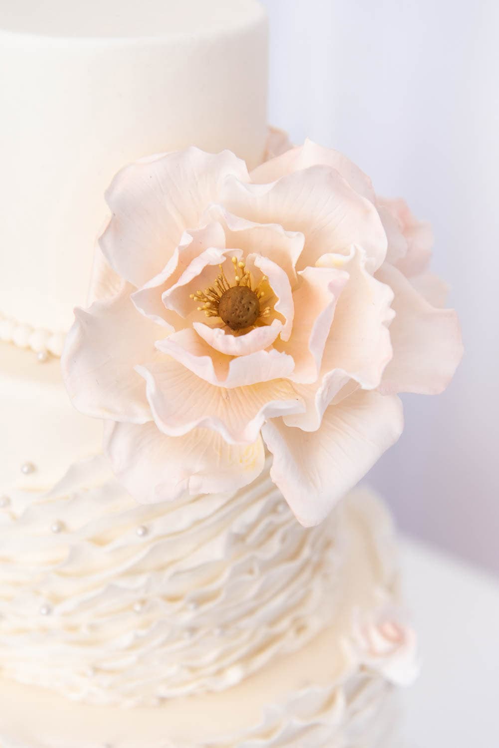 White tiered cake decorated with a large, realistic pale pink sugar flower and textured white icing details.